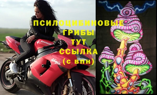 сатива Балабаново