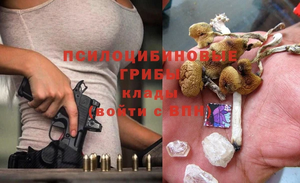 сатива Балабаново